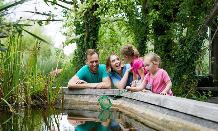 A family gathered around a pond dipping for creatures at WWT Llanelli